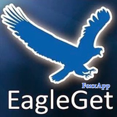 EagleGet